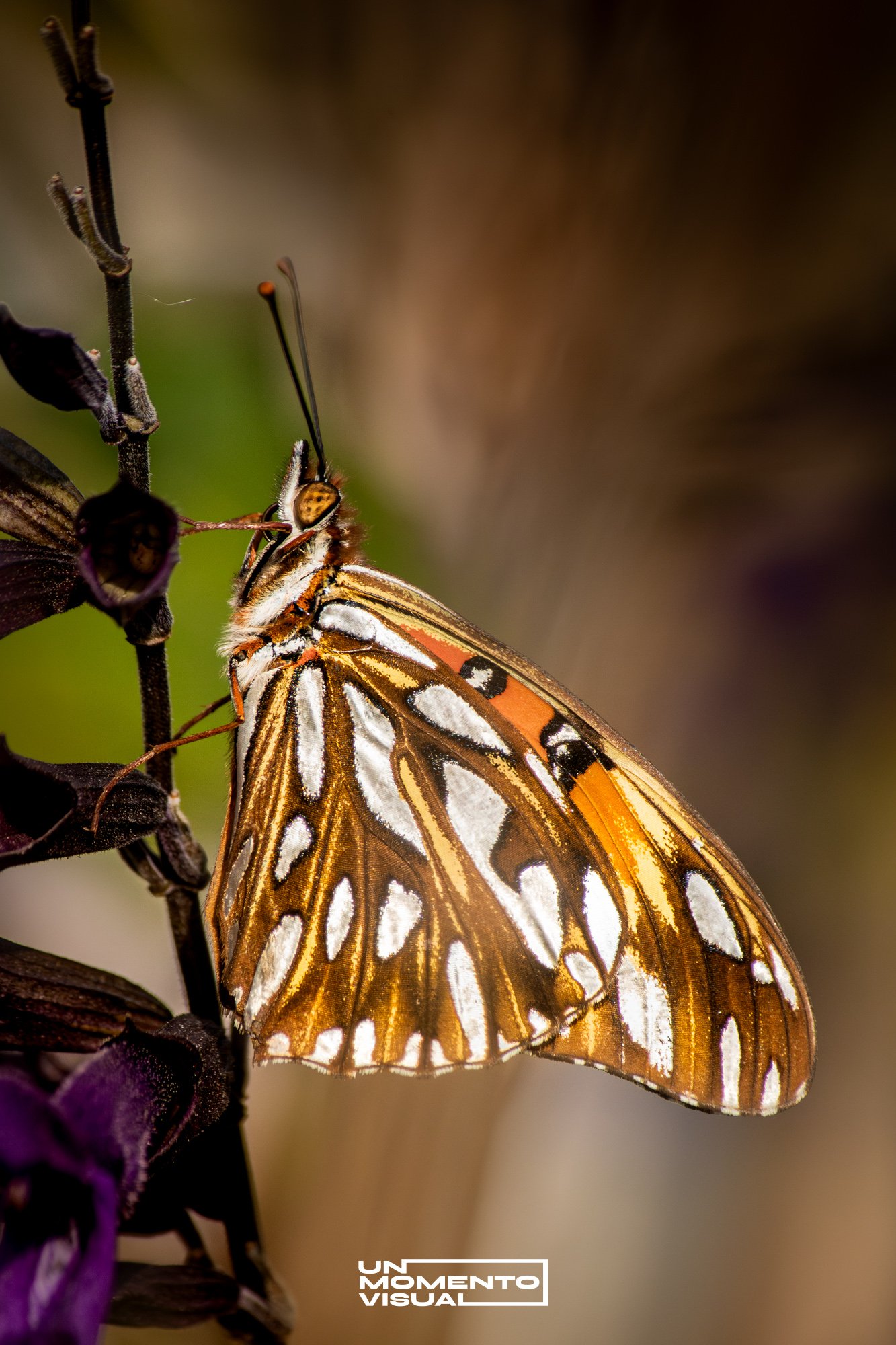 NATURALEZA